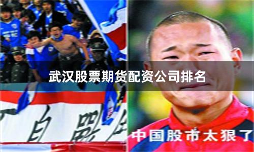 武汉股票期货配资公司排名